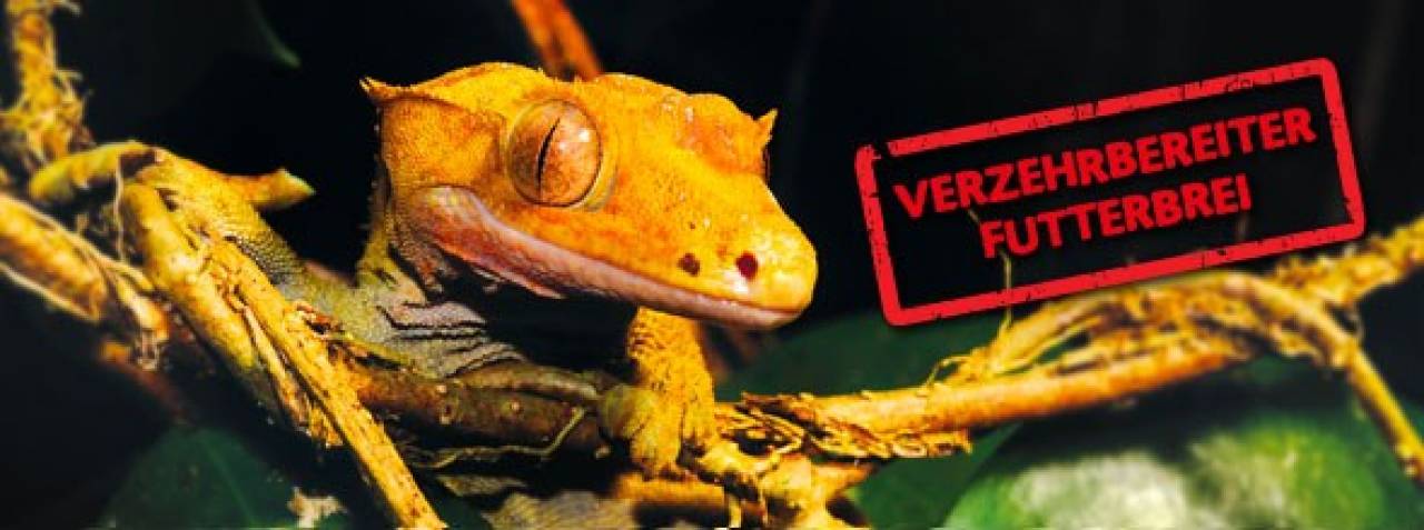 Exo Terra Crested Gecko Food